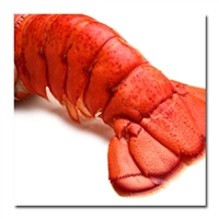 *20 ct. MAINE LOBSTER TAIL - (10-12oz.)