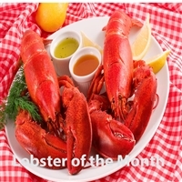 A Lobster Dinner each Month for 1 YEAR!