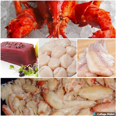 Lobsters, Tuna, Scallops, Crab meat & Haddock