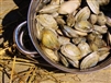 *5 lbs Maine Steamer Clams W/FREE Shipping