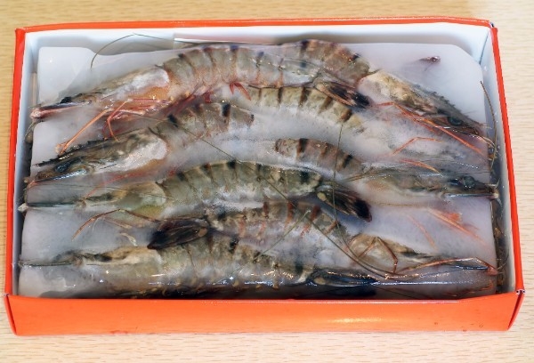 5 lbs. 8-12 Shrimp Block